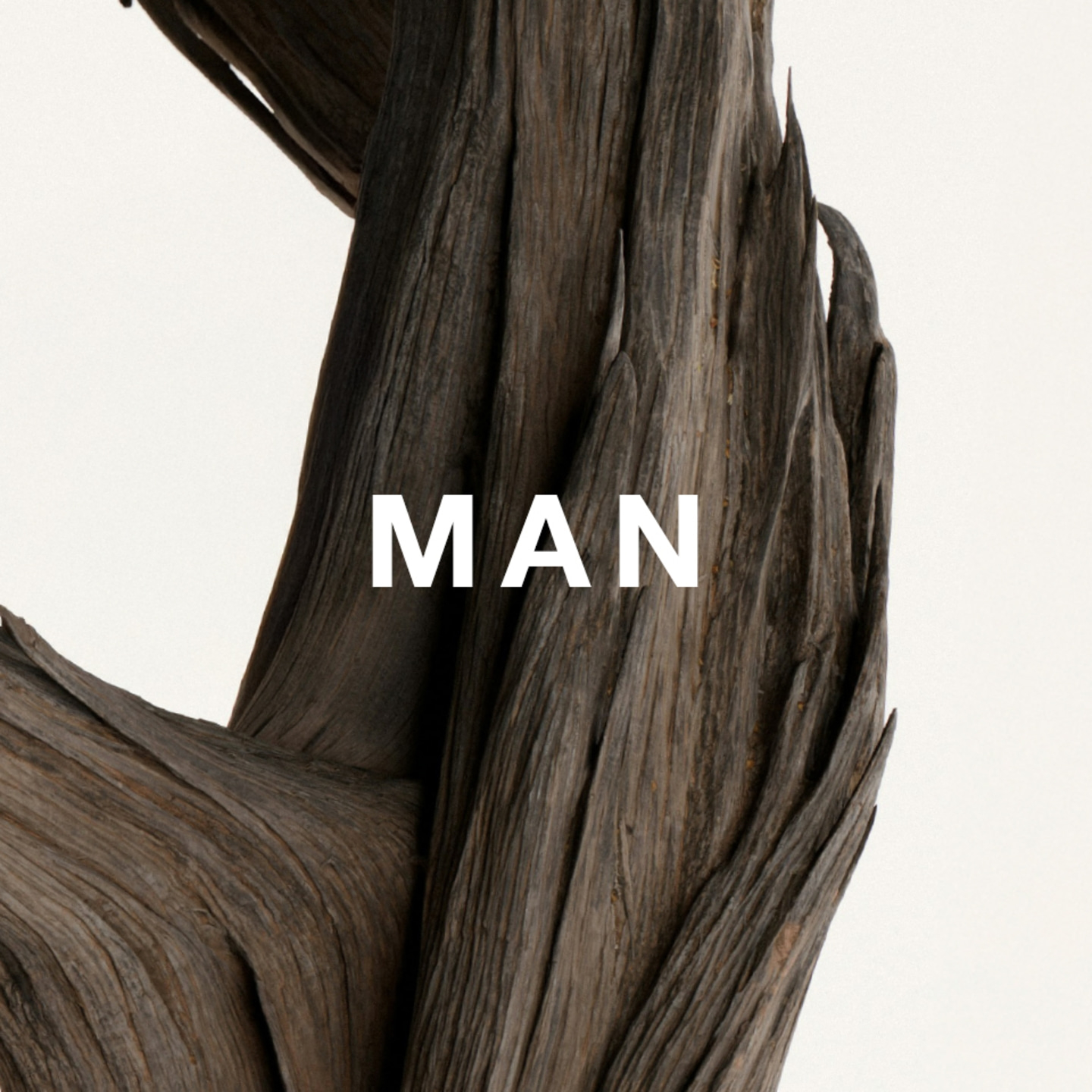 Text 'MAN' in front of a wooden texture background