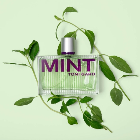 Mint perfume bottle with green leaves on a light green background. Toni Gard.
